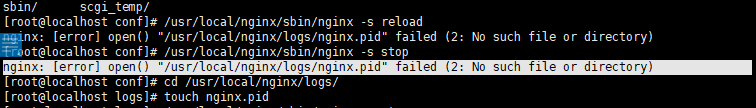 NginxError